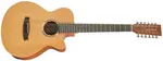 Tanglewood TR412CE