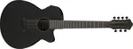 Ibanez AEG721 Black Out