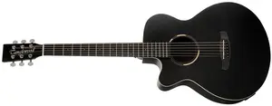 Tanglewood TWBBSFCE LH