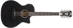 D'Angelico Premier Fulton LS Black Top