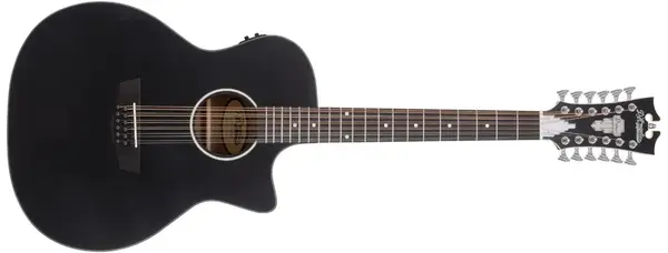 D'Angelico Premier Fulton LS Black Top