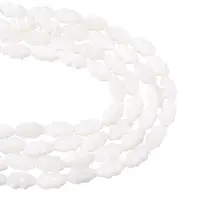 2 Strands Natural Trochus Shell Beads Strands