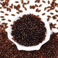 Transparent Colours Glass Seed Beads