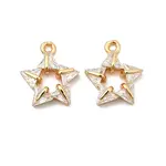 Brass Micro Pave Cubic Zirconia Charms