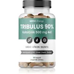 Movit Energy TRIBULUS 90% Kotvičník 500 mg 4v1 kapsle pro udržení energie a kognitivní výkonnosti 90 cps