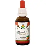 Salvia Paradise Ašvaganda bezalkoholová tinktura tinktura pro klidný spánek 50 ml