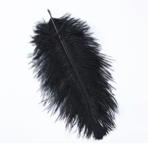 Ostrich Feather Costume Accessories