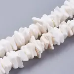 Natural Sea Shell Beads Strands