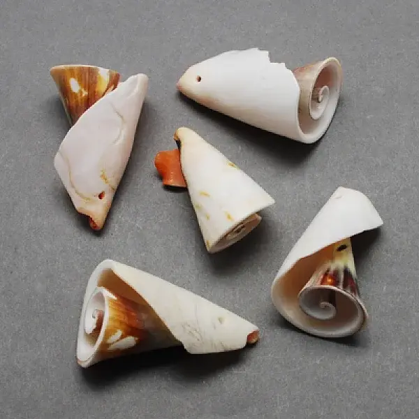 Spiral Shell Pendants