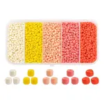 1900Pcs 5 Colors Baking Paint Glass Seed Beads