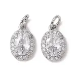 Brass Micro Pave Clear Cubic Zirconia Charms