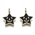 316 Surgical Stainless Steel Enamel Charms