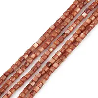 Natural Freshwater Shell Dyed Beads Strands