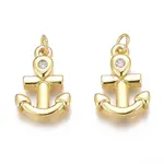 Brass Micro Pave Clear Cubic Zirconia Charms