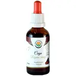 Salvia Paradise Čaga bezalkoholová tinktura tinktura pro podporu imunitního systému 50 ml