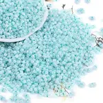 Opaque Colours Luster Glass Seed Beads