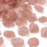 Transparent Frosted Acrylic Pendants