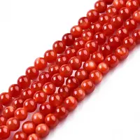 Natural Freshwater Shell Beads Strands