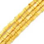 Natural Freshwater Shell Beads Strands