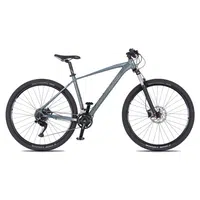 Horské kolo 4EVER FRONTBEE 29'' - model 2025 L (19", 175-185 cm) foggy/silver