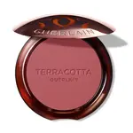 Guerlain Pudrová tvářenka Terracotta (Blush) 5 g 03 Nude Foncé