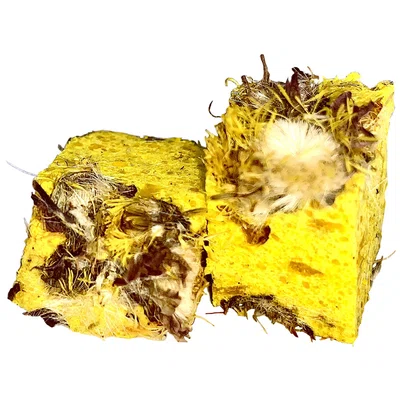 Lk baits nástraha cuc speciál carp 90 g-record corn
