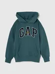 GAP Children's Sweatshirt Unisex - Boys