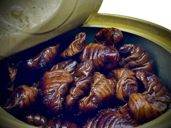 LK Baits Natur Canned Silkworm 35g