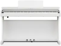 Kawai CX202W