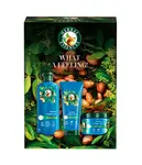 Herbal Essences Xmass sada Argan Repair šampon, kondicionér a maska 3 ks