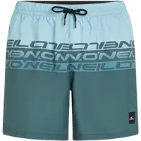 O'Neill CALI STRIPE 16'' Pánske plavecké šortky, tmavo zelená, veľkosť