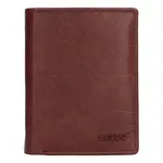 Pánska kožená peňaženka Lagen Liam - hnedá