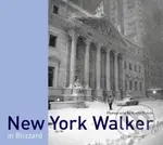 New York Walker in Blizzard - Martin Froyda - kniha z kategorie Fotografie