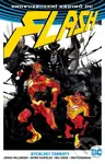 Flash 2: Rychlost temnoty (Znovuzrození hrdinů DC) - kniha z kategorie Komiksy