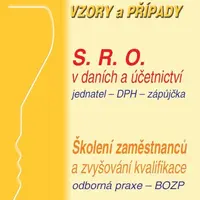 Daně, účetnictví, vzory a případy (11-12/2024)