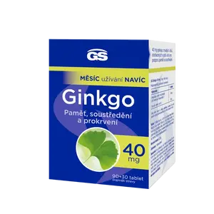 GS Ginkgo 40 mg, 90+30 tablet