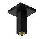 Hansgrohe Příslušenství - Sprchové rameno stropní, 11 cm, matná černá 24338670