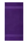 Bavlněný ručník Ralph Lauren POLOPLAY Chalet 50 x 100 cm fialová barva