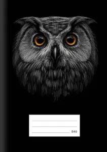 Školní sešit LUX A5 540