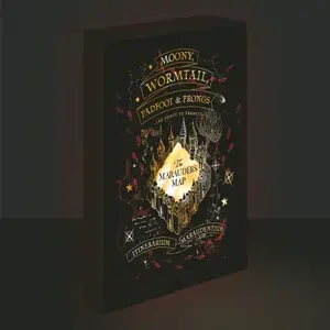 Obraz LED svítící 30x40, Harry potter - Pobertův plánek