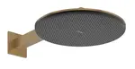 Hansgrohe Raindance Alive S - Hlavová sprcha, priemer 30 cm, 2 prúdy, kefovaný bronz 24540140