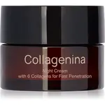 Collagenina Grade 1 Night Cream spevňujúci nočný krém proti vráskam s kolagénom 50 ml