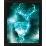 3D obraz Harry Potter - Patron