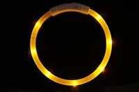 Reedog Easy Light USB dobíjecí svítící obojek pro psy a kočky - žlutá