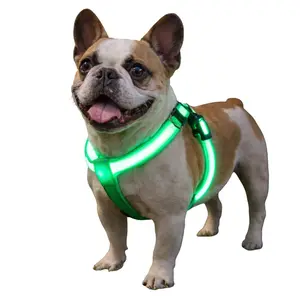 Reedog svíticí kšíry pro psy a kočky - zelená - L | P2570