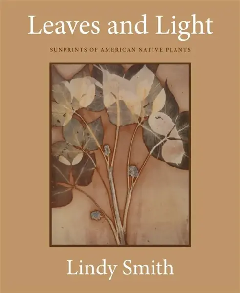 Leaves and Light