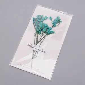 Paper Cards