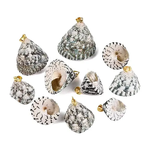 Brass & Natural Spiral Shell Pendants