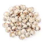 Handmade Bright Glazed Porcelain Beads
