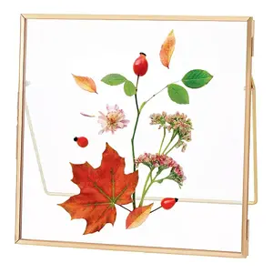 Brass Photo Frames